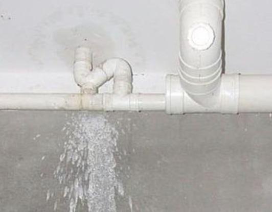 为什么说1楼是好楼层,不建议买一楼的楼层