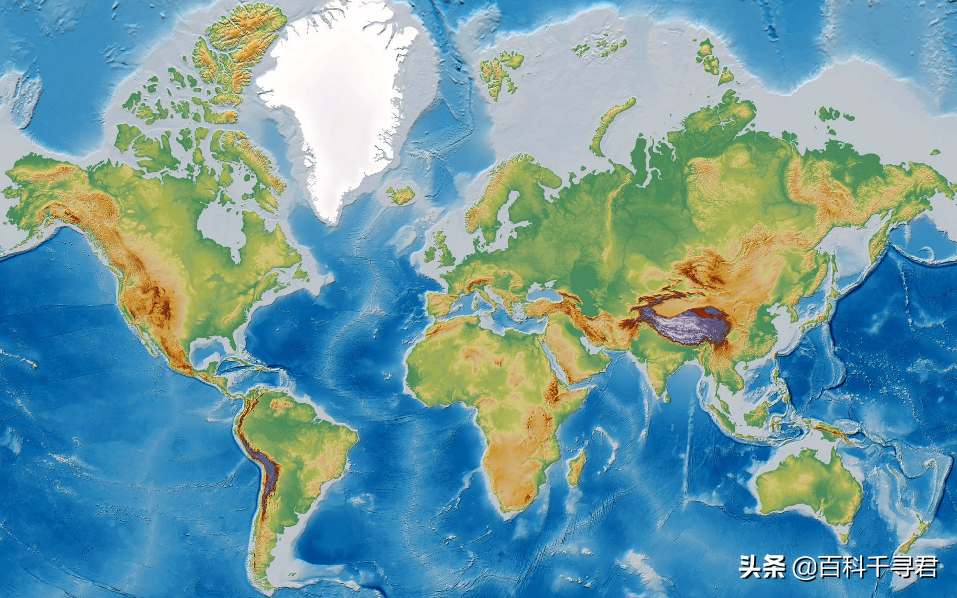 有哪些非常非常可怕的蛇类,人们最害怕的是大型蛇类