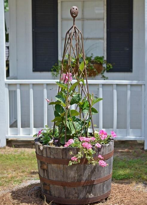 我家婆婆太有创意了，泡脚桶坏了放在院子种菜，颜值不输花盆