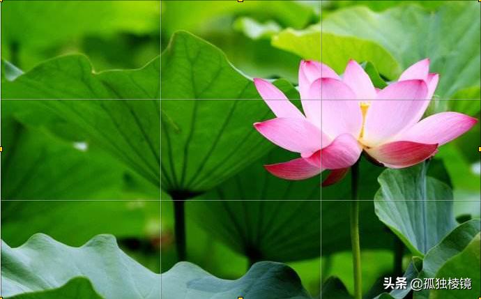 三分构图法与九宫格构图区别,拍摄构图如何精准构图手把手教你