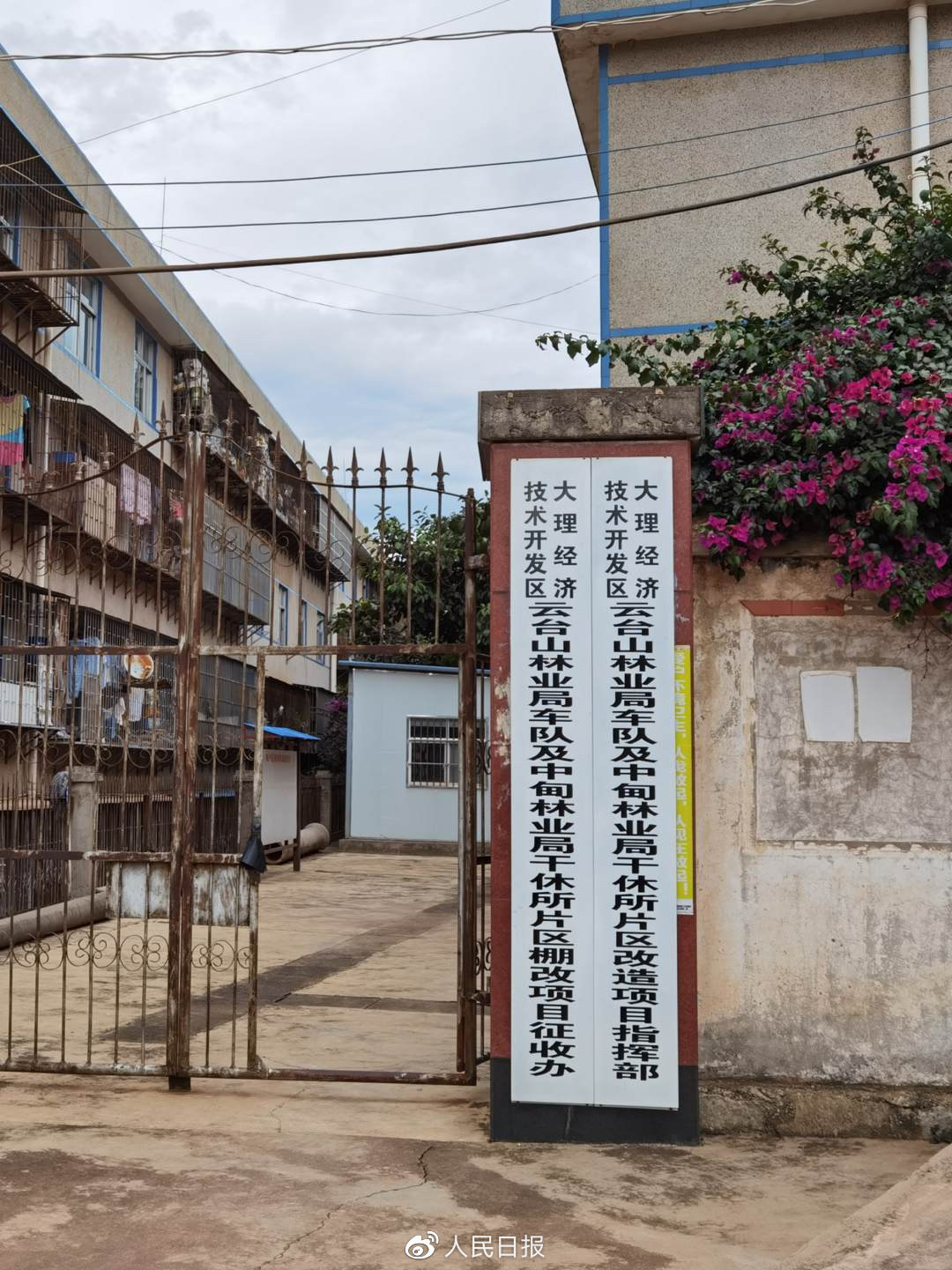 张桂梅人生事迹简介,张桂梅生涯发展历程简短