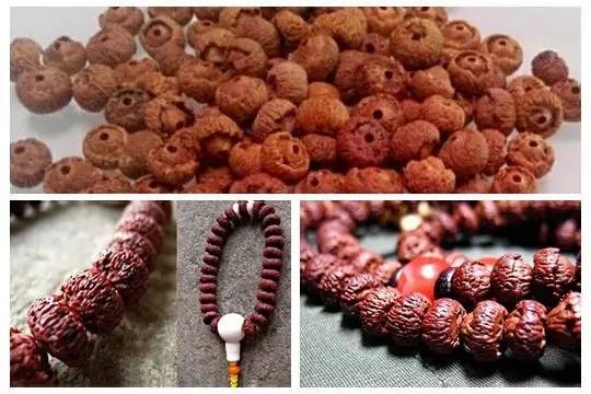 什么是滴血莲花菩提怎么盘玩,滴血莲花菩提盘玩前后对比效果图