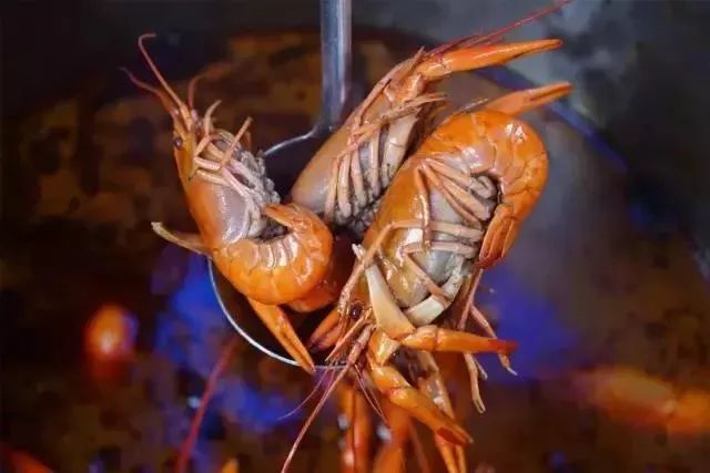 新年元旦迎接活动,新年新气象迎接新的一天