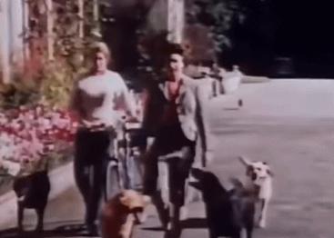 英女王下令封杀50年!王室私生活*片禁**遭泄露,百万人在线吃瓜