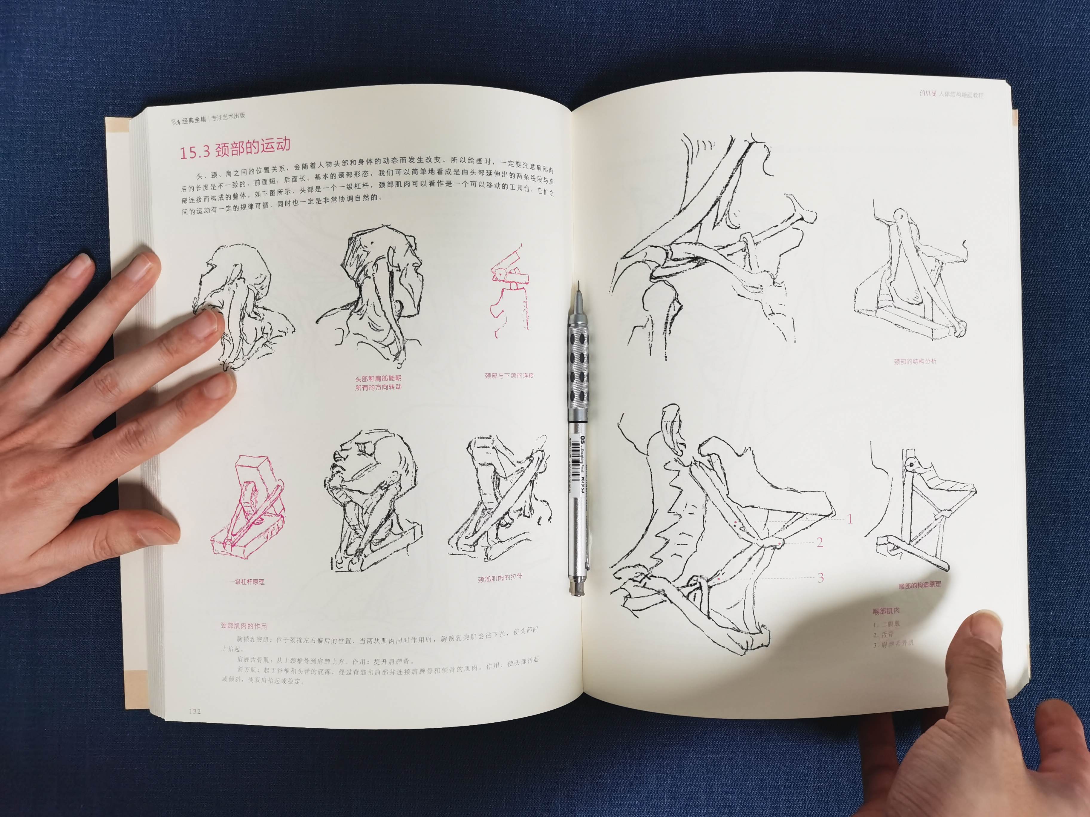 素描画画初学者需要准备的工具,素描绘画自学