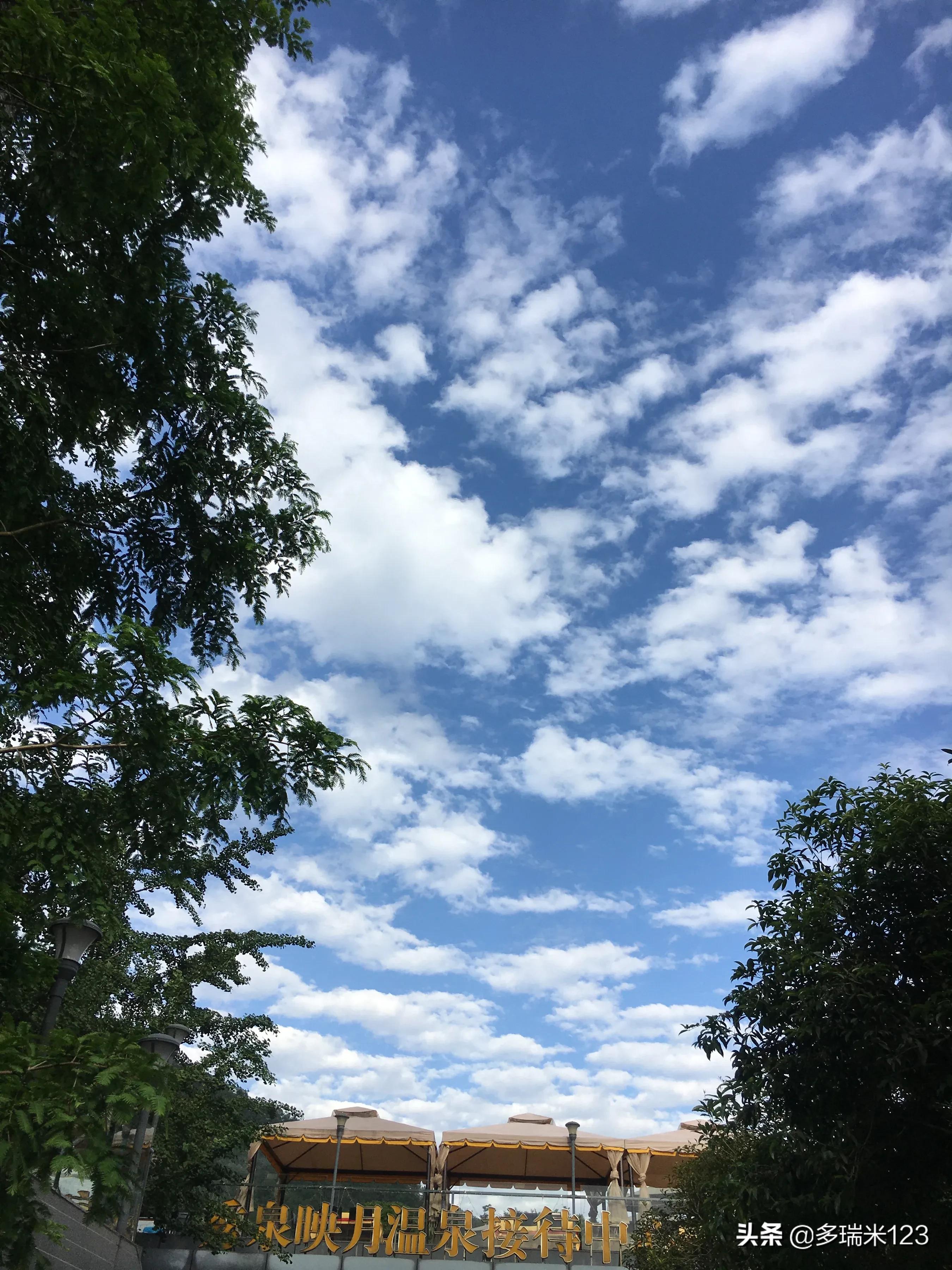 走,去东温泉吧,火锅+摸鱼+泡温泉