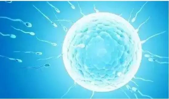 精尽人亡?一滴精=十滴血?看完心里有底了