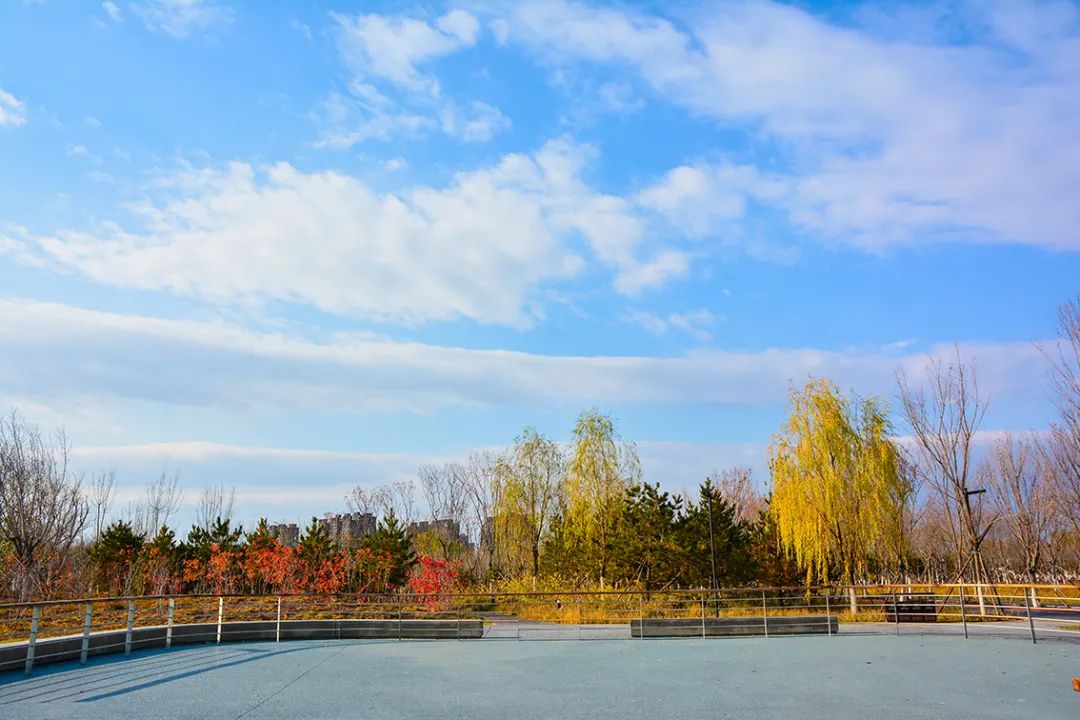 北京新开40个公园在哪里,北京十佳公园