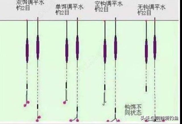 钓鱼初学入门基础知识,新手学习钓鱼入门基本知识