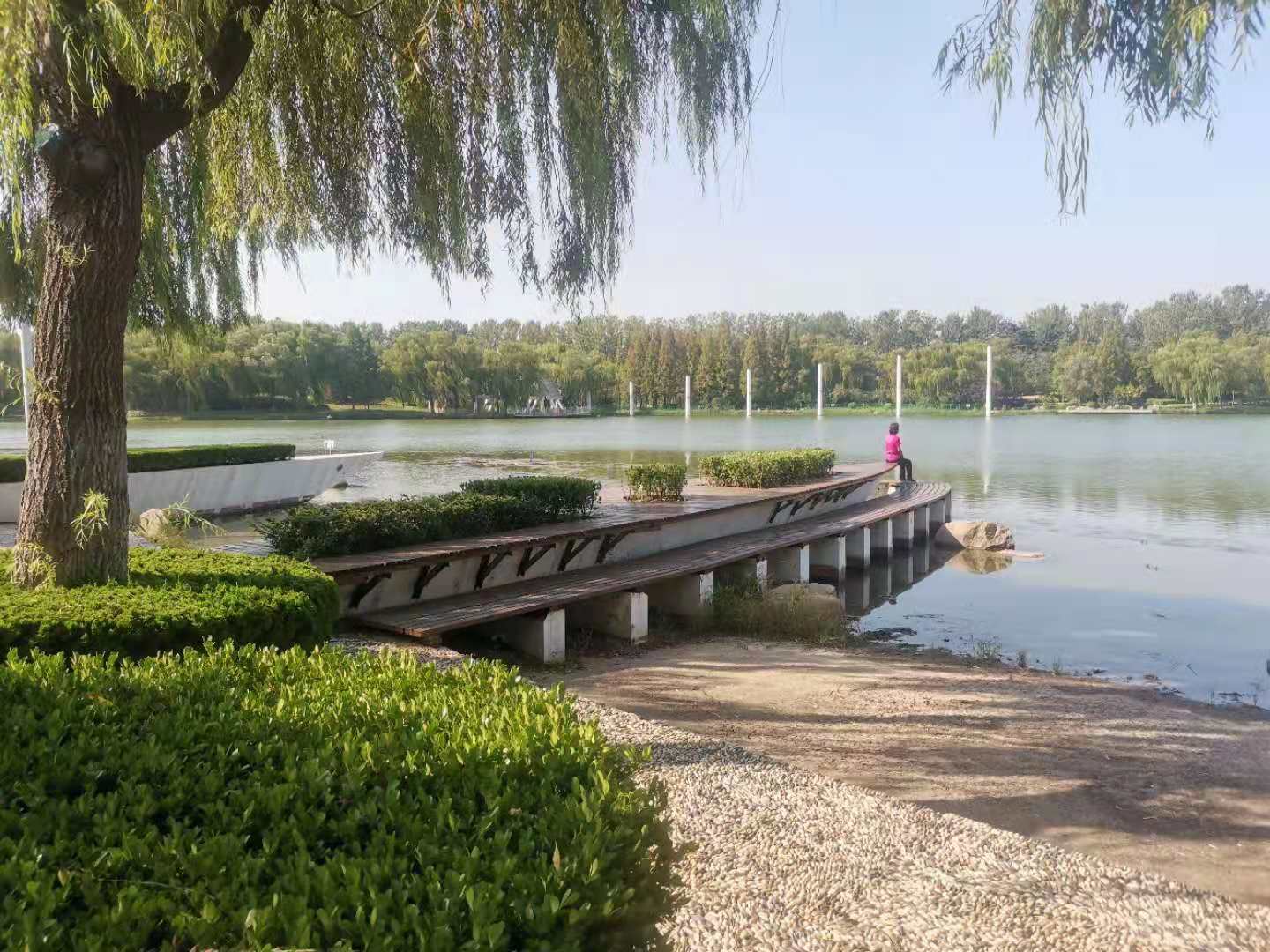 青岛城阳世纪公园,青岛世纪公园在哪