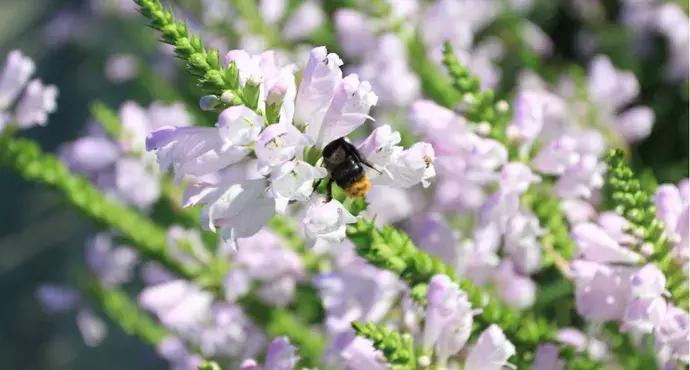 80张图，80个地方，总结哏儿都那些可以多次打卡的圣地~