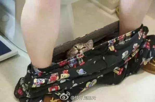 2020年，年货是否顺利到家，湛江人要知道的安检必备小知识