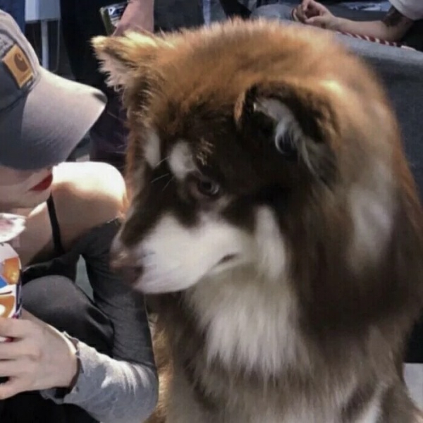 情侣头像原宿风下半身,秋天温暖情侣头像