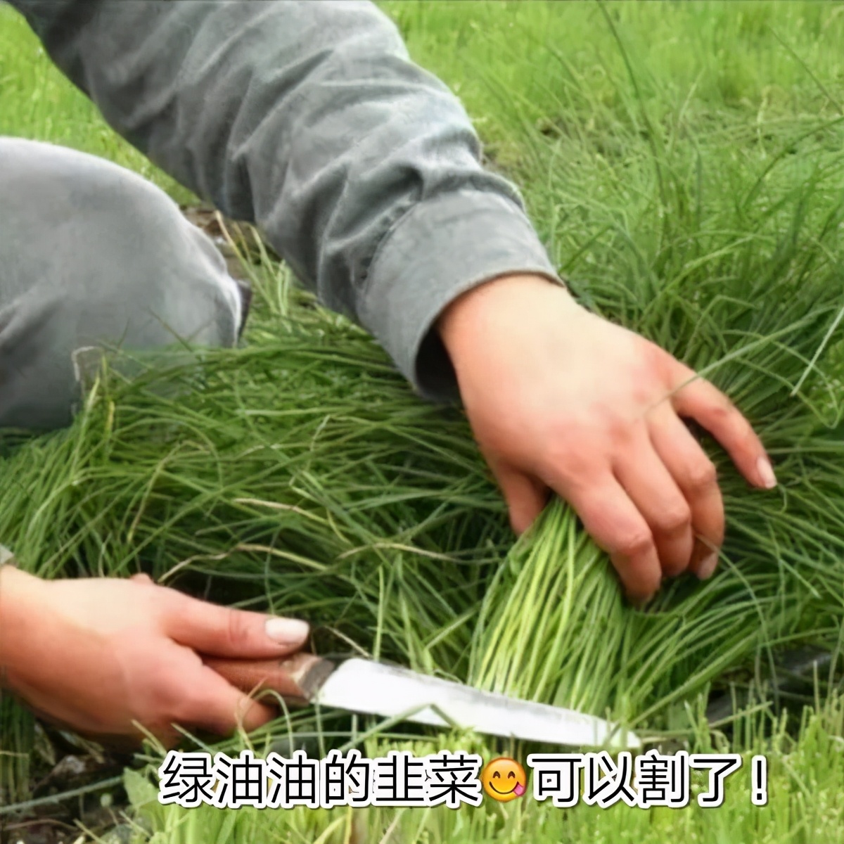 理财表情包,分享一波表情包超可爱的