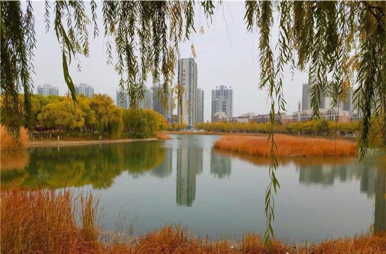 *疆新**最美的人文水韵之都——巴州库尔勒市