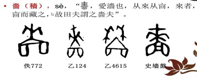 生动浅显、图文并茂的《说文解字》，确定不点进来看看吗