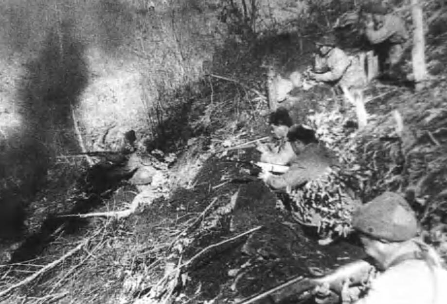 美第一骑兵师对比38军军事实力,1950年解放军与1938年日军战斗力