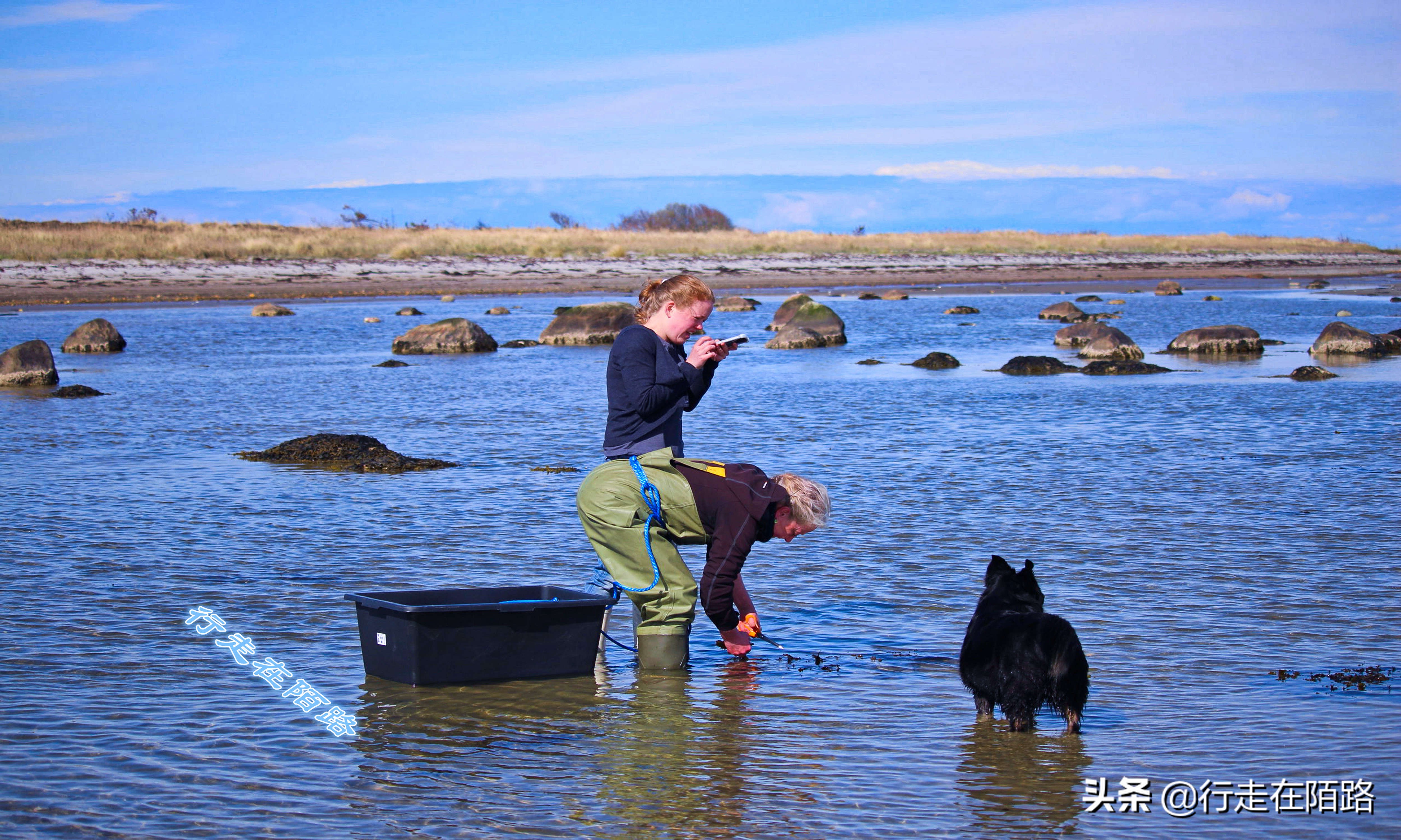 最廉价的房子,最廉价的房子建造