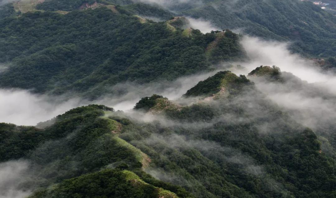 蓟州，你真给天津长脸