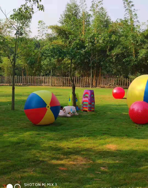 南宁隐藏的景点,南宁周边农家乐游玩景点推荐