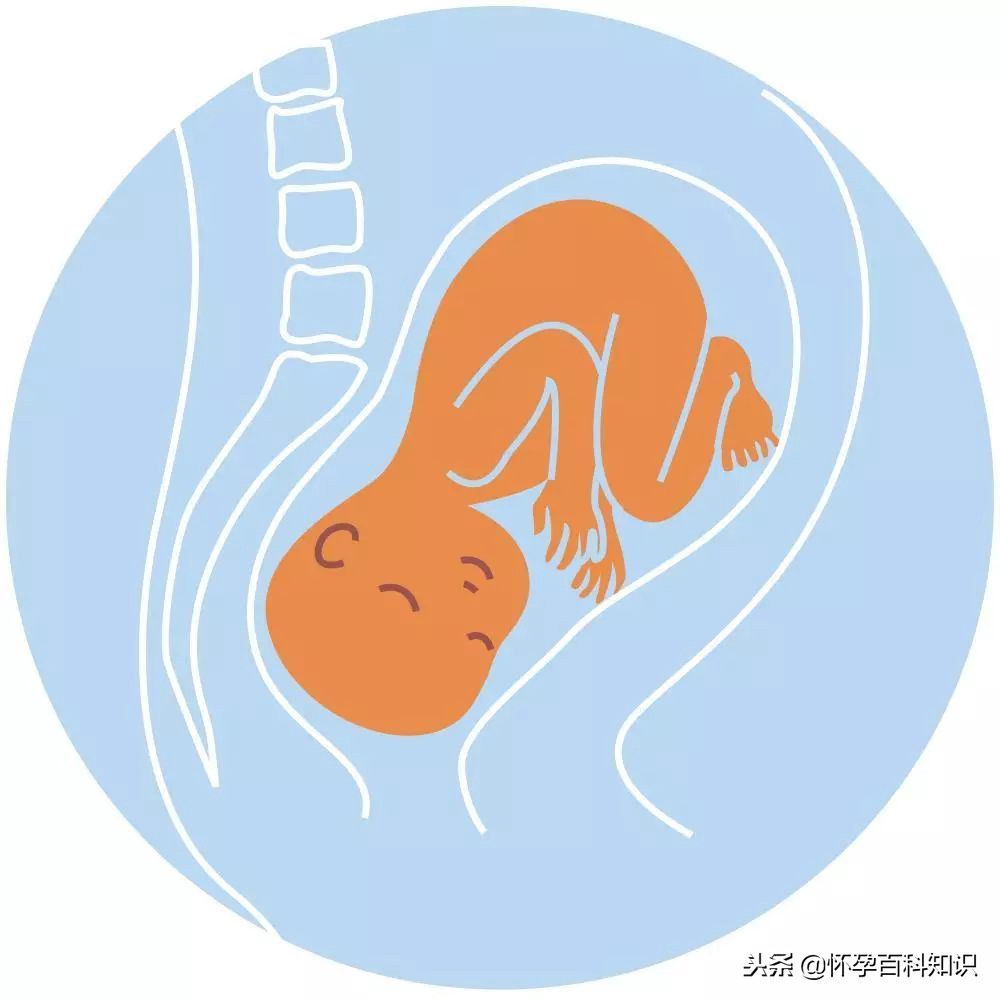 彩超loa代表胎儿的什么意思,彩超lof代表什么