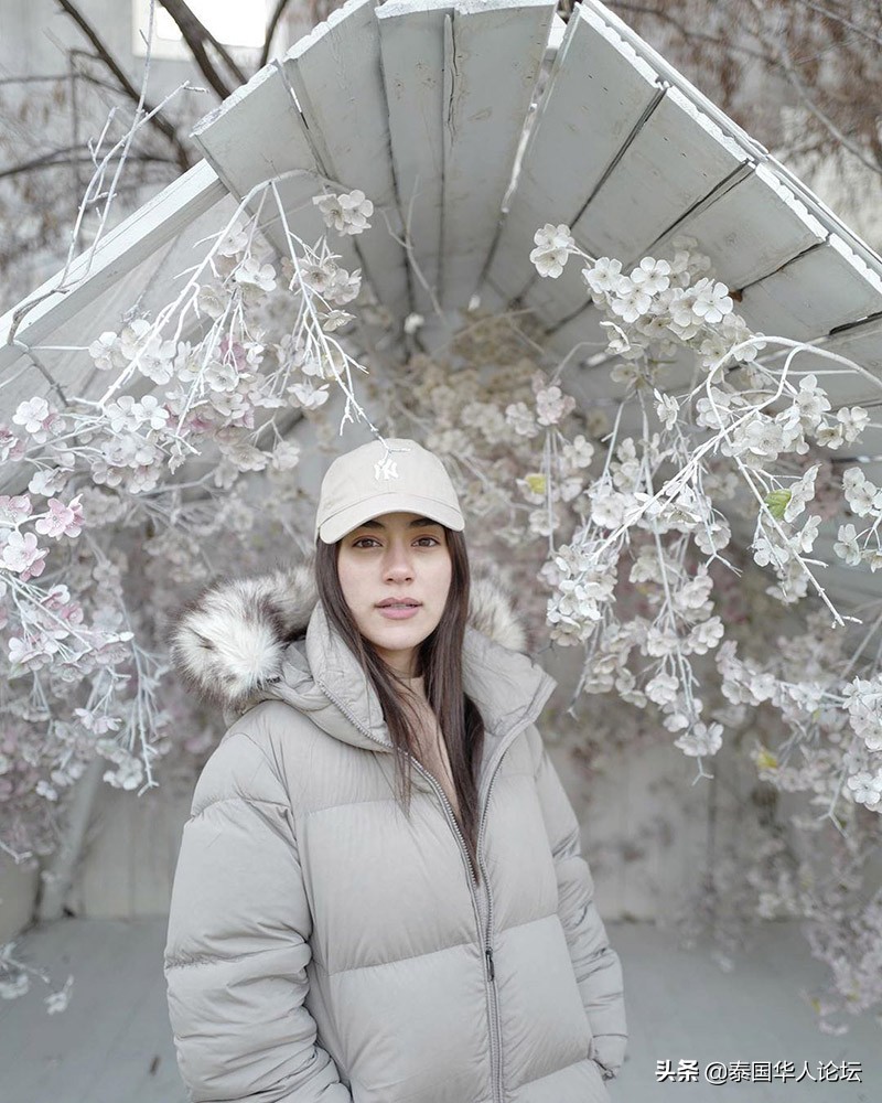 mk最好的配装 (比乐狗粮mk系列)