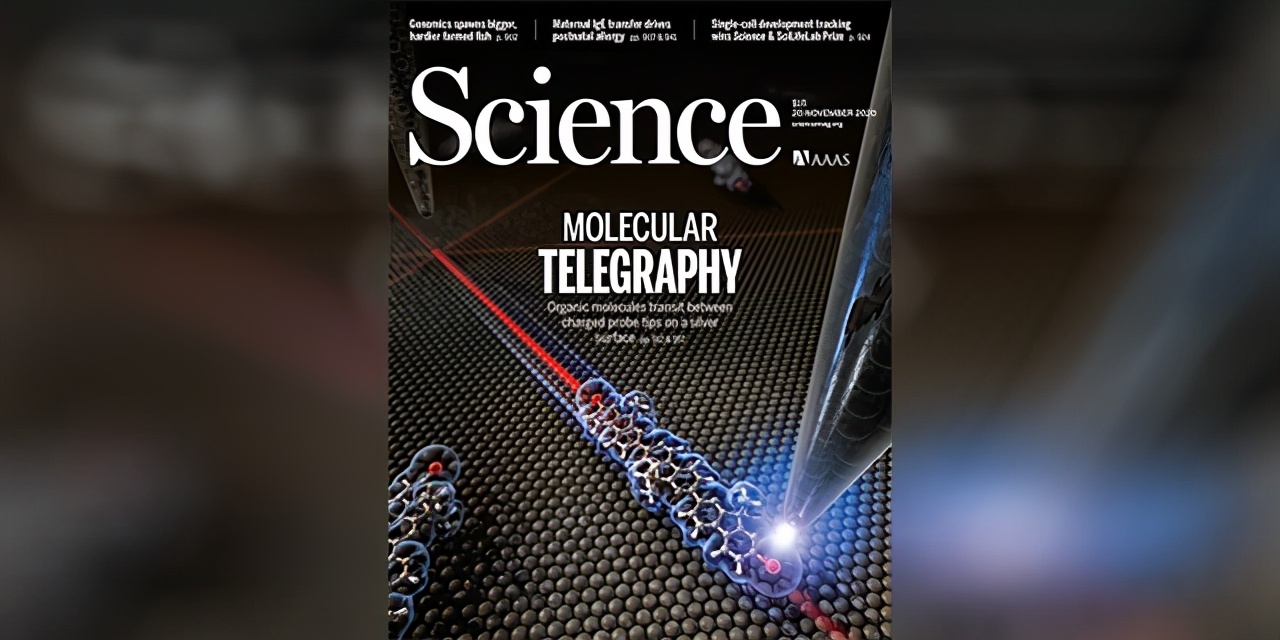 Science双发：轮状病毒如何致腹泻+从海洋细菌挖抗真菌药