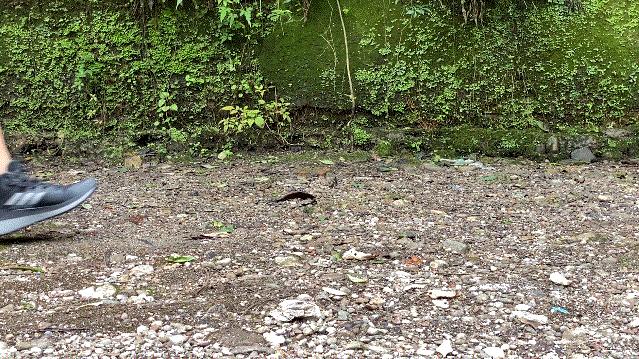 adidasterrex户外鞋卡其色,adidasterrex户外跑鞋评测