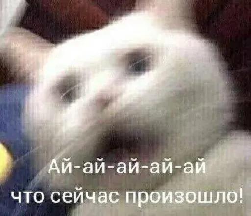 牛市已经彻底结束了吗,暴跌股票后期走势