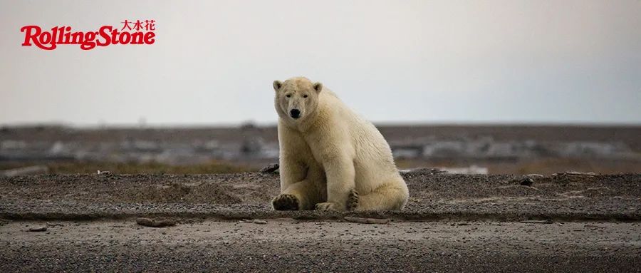 为了淘到新裤子的《龙虎人丹》磁带版，我翻遍了整个闲鱼