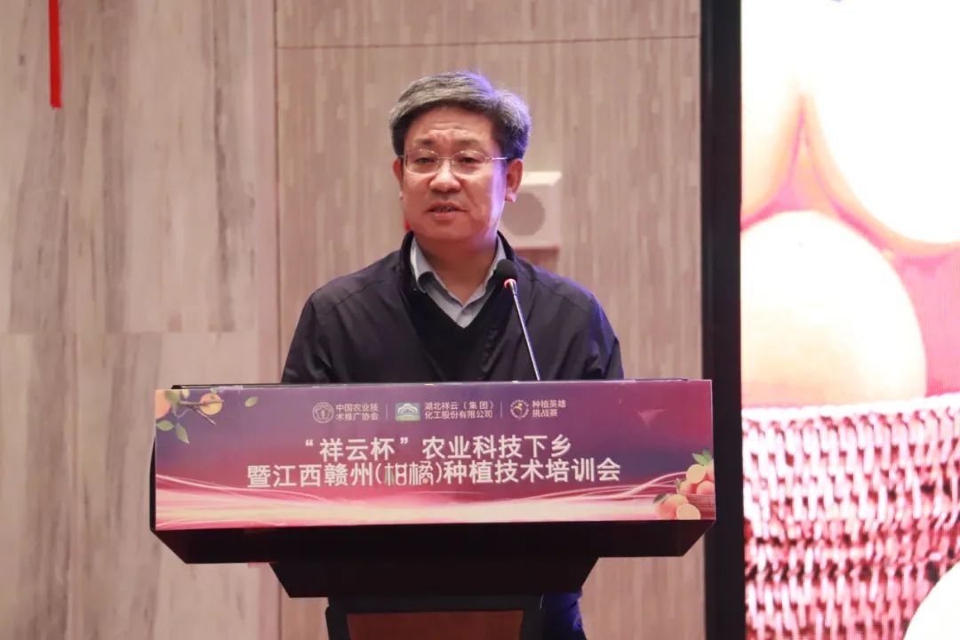 祥云杯武穴第二届创新创业大赛,祥云杯科技