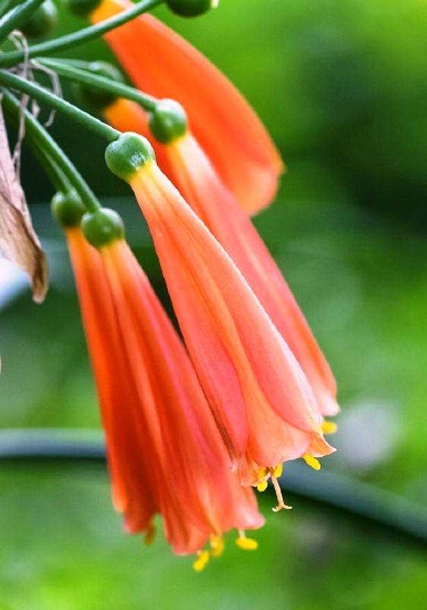 人生经典句子句句正能量走心励志,走心励志短句激励人心正能量文案