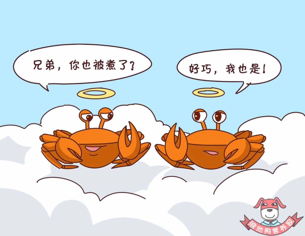 蟹黄蟹膏是什么蟹,河蟹蟹黄蟹膏是什么样的