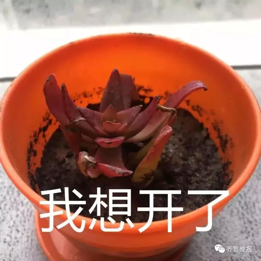 在某宝上买东西便宜,在某宝买的便宜东西