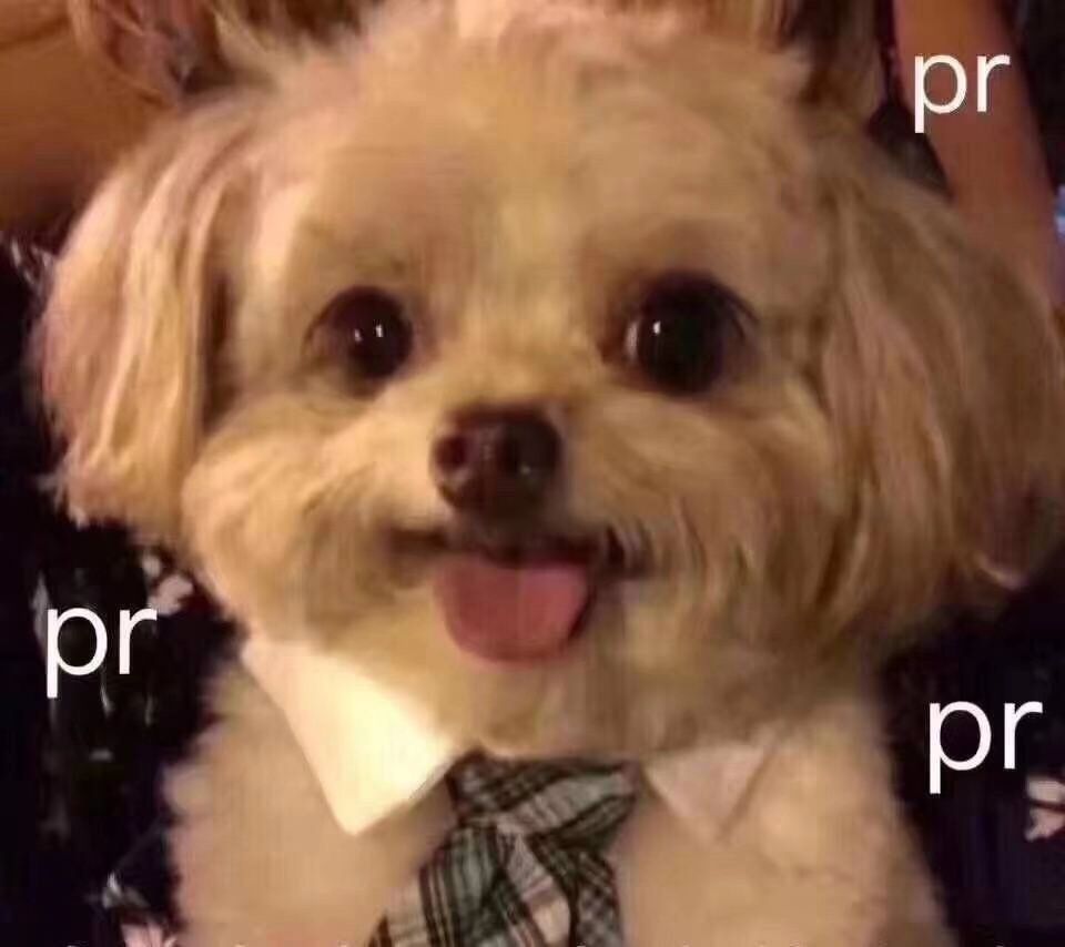 舔狗不回复聊天记录截图,舔狗聊天记录炸裂三观