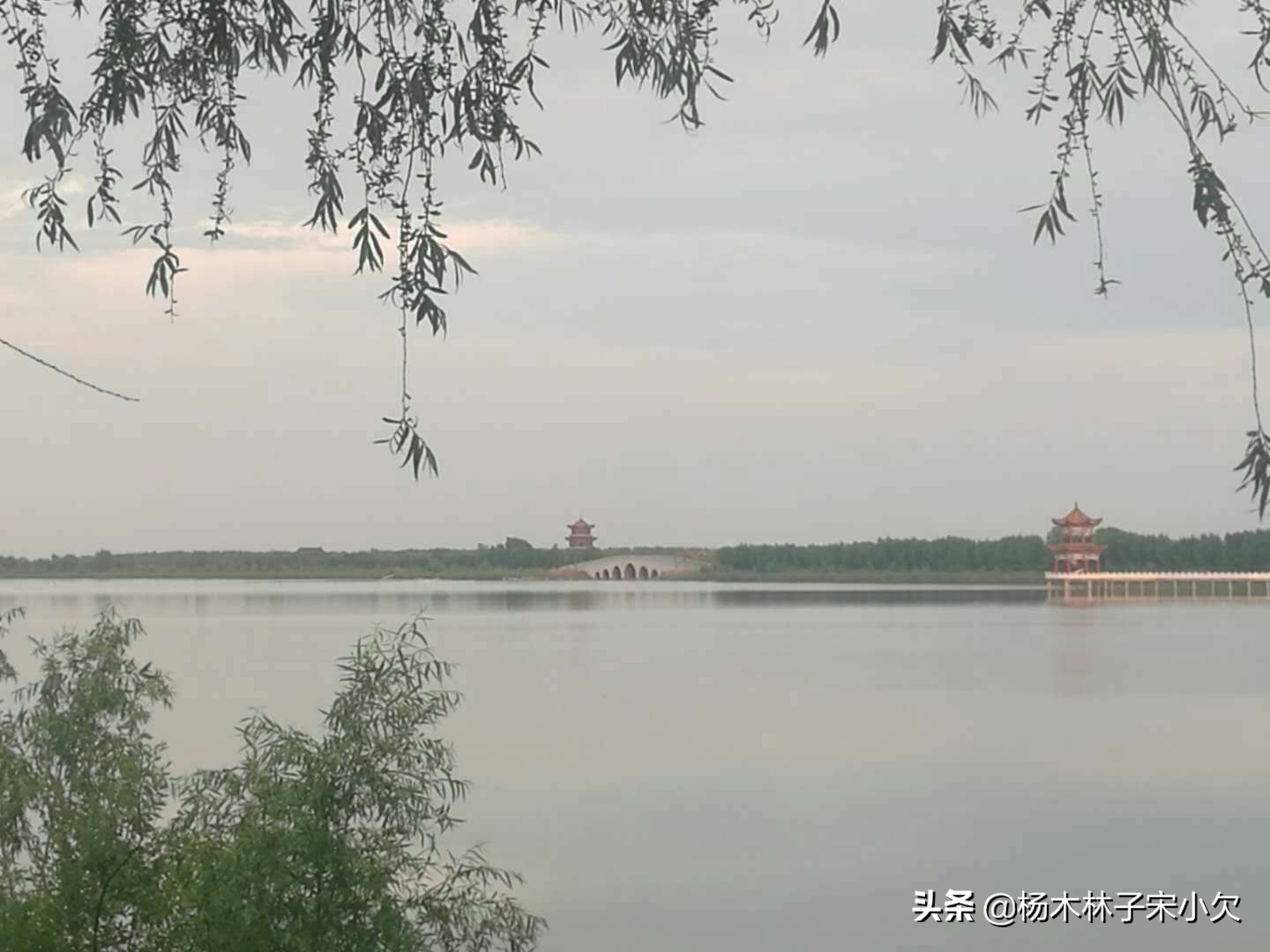 人类最大规模的*杀屠**，是房思琪式的*暴强**