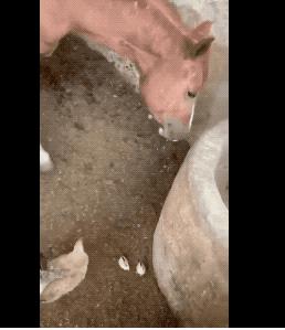 印度佛像真实照片,印度佛像原始图