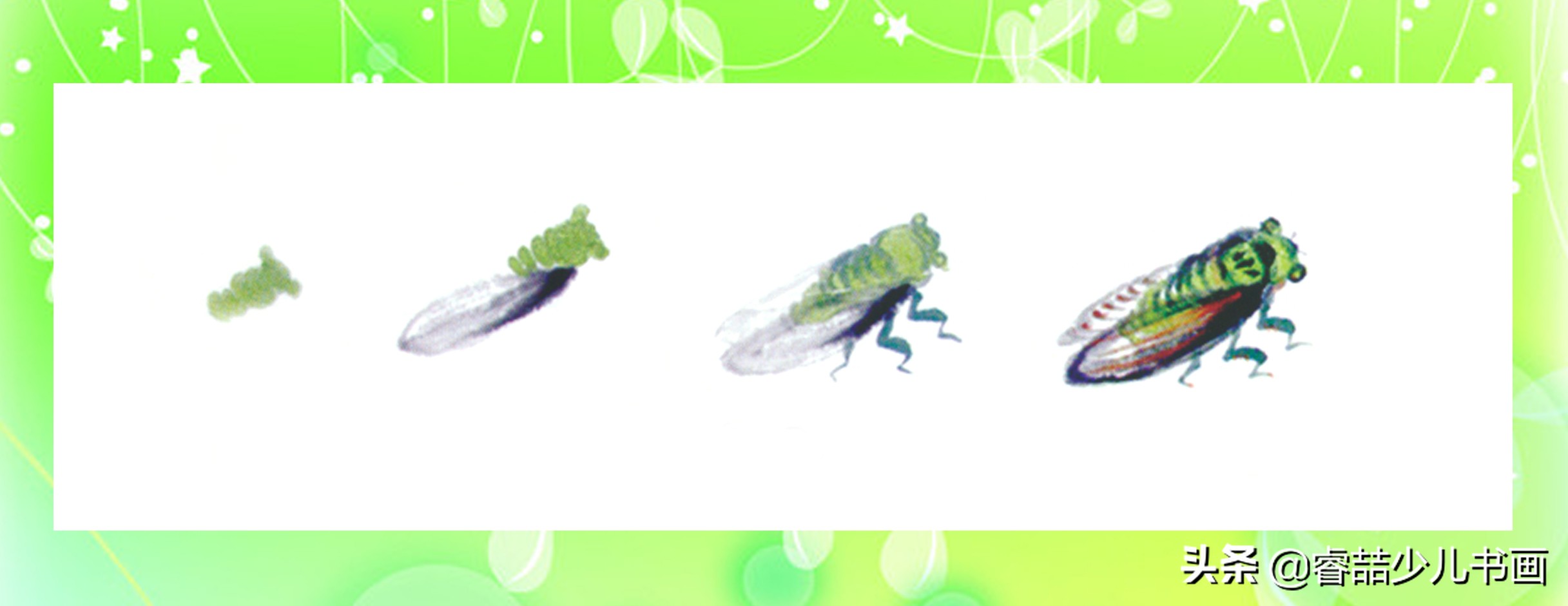 中国画墨画教学,墨蝉与绿蝉怎么画