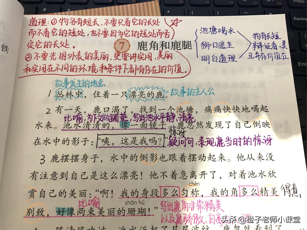 三年级下册语文鹿角和鹿腿的启示,三年级下册鹿角和鹿腿感悟
