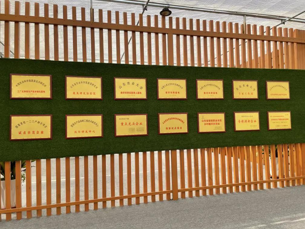 希望的田野播种希望的种子,希望的田野丰收的种子