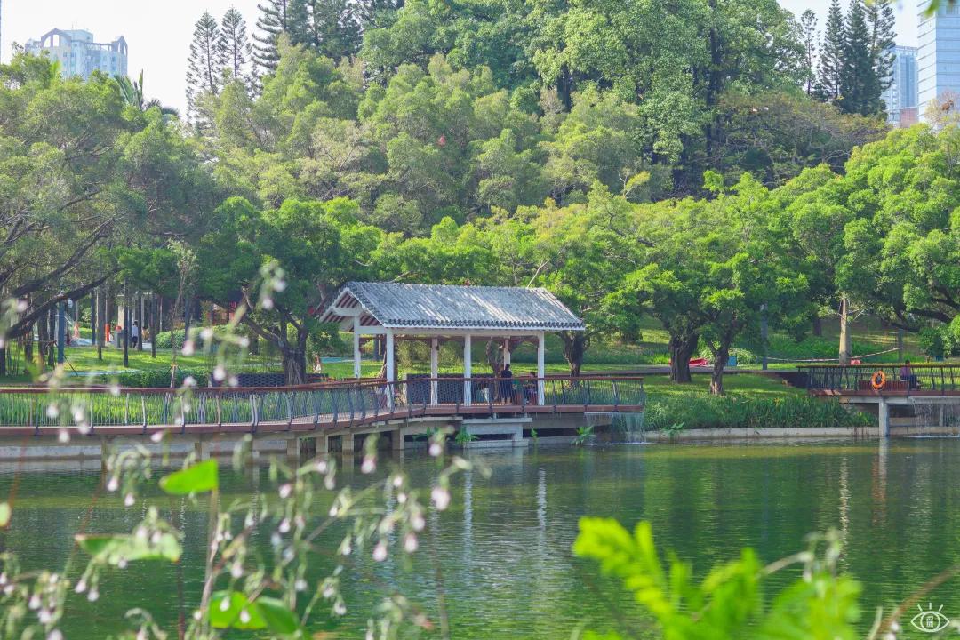 深圳免费景点好玩排名,深圳这些新公园免费玩