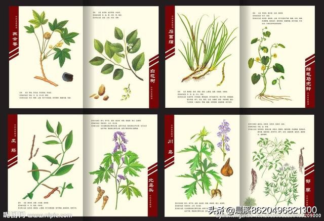 湿性体质的表现症状及治疗方法,湿性体质