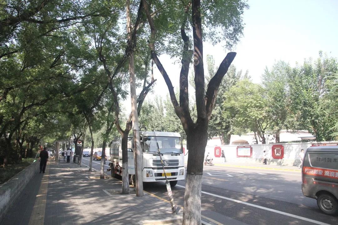 我为群众办实事相关事项,我为群众办实事之消除路面隐患