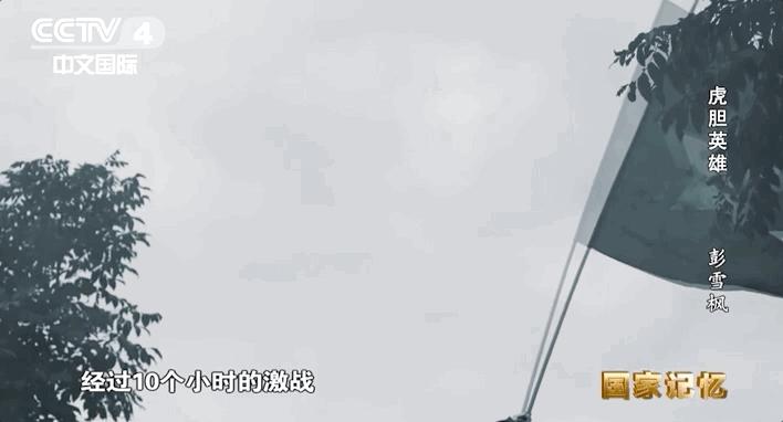 英雄虎胆大结局完整版,虎胆英雄大结局是什么