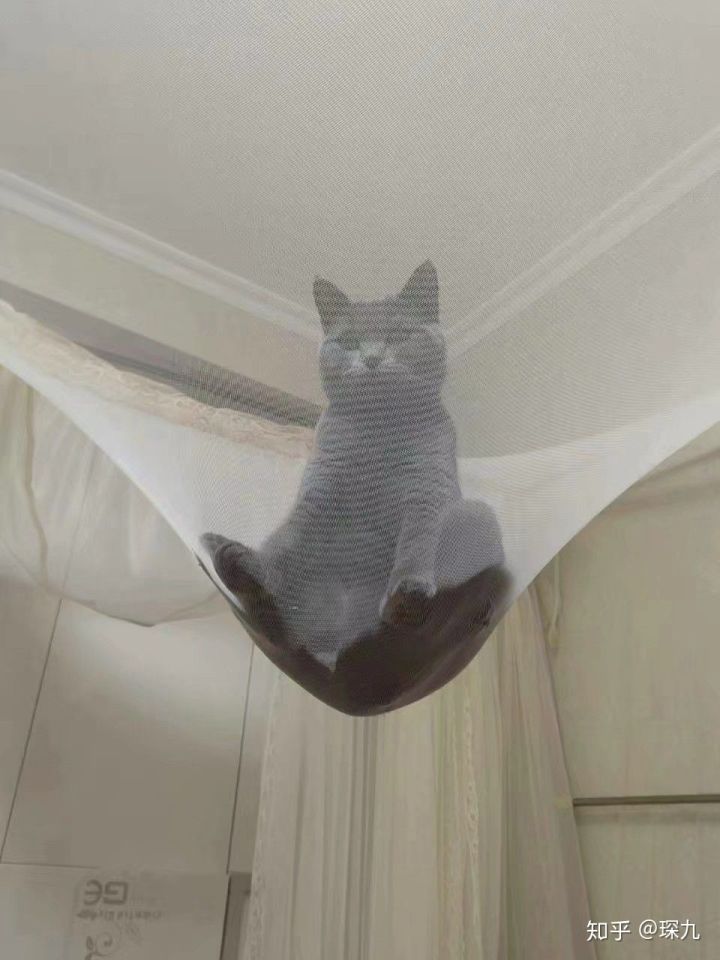 又短又能让人笑窒息的笑话,有什么可以让人笑抽的笑话