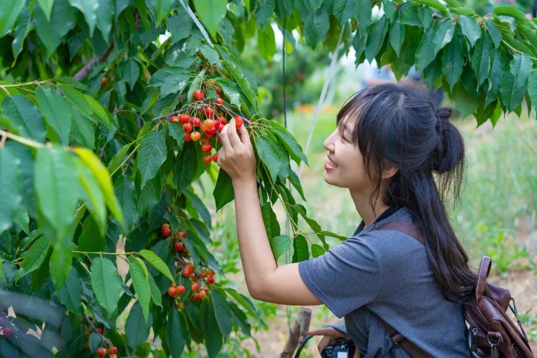 蓬莱美如画,蓬莱美景