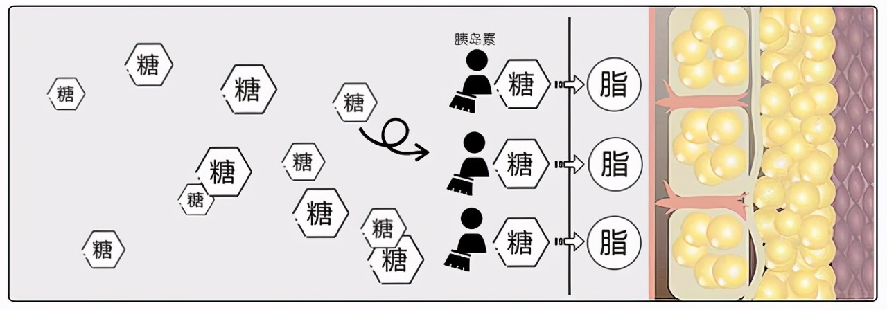 减肥后不喜欢吃油腻的怎么办,减肥后吃不下东西怎么办