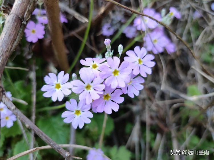 昆明谷堆山攻略,昆明棋盘山徒步攻略
