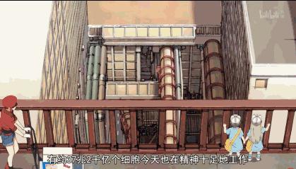 9.2分，半年后这么萌的片终于回来了