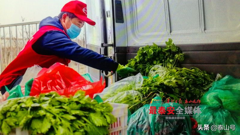 泰安市下港镇杨家庄村,泰安市岱岳区下港镇杨家庄村